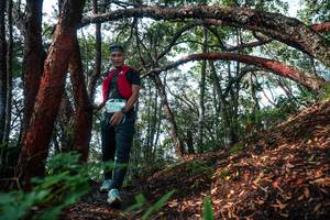 BIB: 
                            <button type="button" onclick="openModal(26344971)" class="btn btn-primary btn-sm float-right btn-popup" data-toggle="modal" data-target=".modal-high-quality">
                        <i class="fas fa-shopping-cart"></i> Add to Cart
                    </button>
                                            <button type="button" onclick="isThisMe(26344971, true)" class="btn btn-success btn-sm float-right btn-popup btn-isme hidden" data-toggle="tooltip" data-placement="bottom" title="นี่คือรูปของคุณใช่ไหม คลิกที่นี่เพื่อเอาเข้าอัลบั้ม">
                        <i class="fas fa-plus"></i> Add to album
                    </button>
                    <button type="button" onclick="isThisMe(26344971, false)" class="btn btn-warning btn-sm float-right btn-popup btn-isnotme hidden">
                        <i class="fas fa-ban"></i> Remove from album
                    </button>